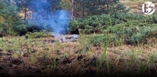 Con un 61 % de probabilidad del fenómeno de El Niño, Corantioquia emite recomendaciones