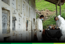En Montebello: continúan acciones de búsqueda de desaparecidos del conflicto armado