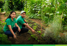 En Jericó: Dálida y Víctor cultivan más de 70 variedades de alimentos en Urantia