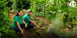 En Jericó: Dálida y Víctor cultivan más de 70 variedades de alimentos en Urantia