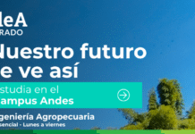 En Andes: nueve programas hacen parte de la oferta de la UdeA para el primer semestre de 2027