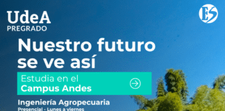 En Andes: nueve programas hacen parte de la oferta de la UdeA para el primer semestre de 2027