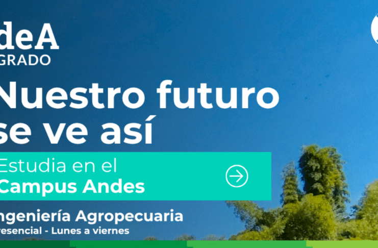 En Andes: nueve programas hacen parte de la oferta de la UdeA para el primer semestre de 2027