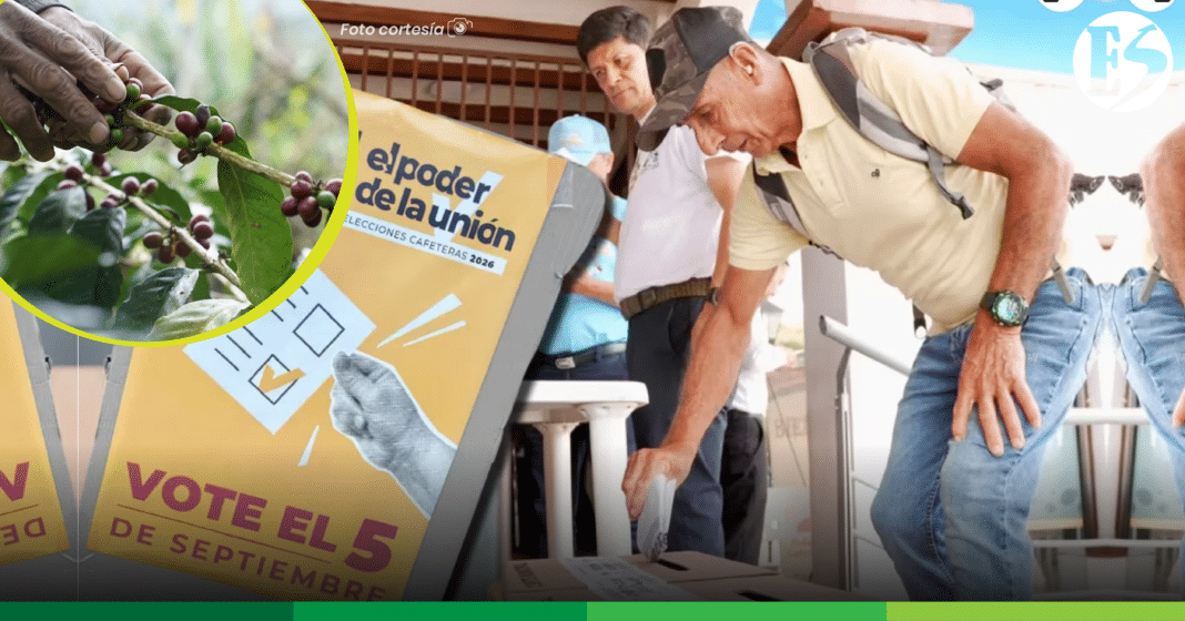 ASÍ VOTÓ EL SUROESTE EN LAS ELECCIONES CAFETERAS 2026-03