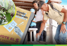 Así votó el Suroeste en las Elecciones Cafeteras 2026