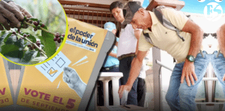 Así votó el Suroeste en las Elecciones Cafeteras 2026