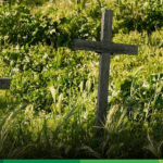 La vieja y endémica violencia: No solo el abuelo está llorando