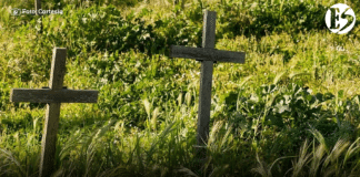 La vieja y endémica violencia: No solo el abuelo está llorando