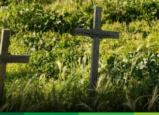 La vieja y endémica violencia: No solo el abuelo está llorando