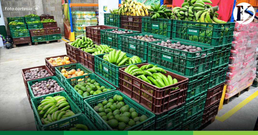 BANCO DE ALIMENTOS URRAO-03