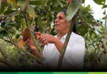 Desde Jardín, una historia de emprendimiento en el Día Internacional de las Mujeres Rurales