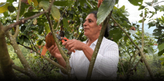 Desde Jardín, una historia de emprendimiento en el Día Internacional de las Mujeres Rurales
