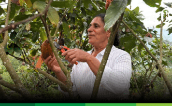 Desde Jardín, una historia de emprendimiento en el Día Internacional de las Mujeres Rurales